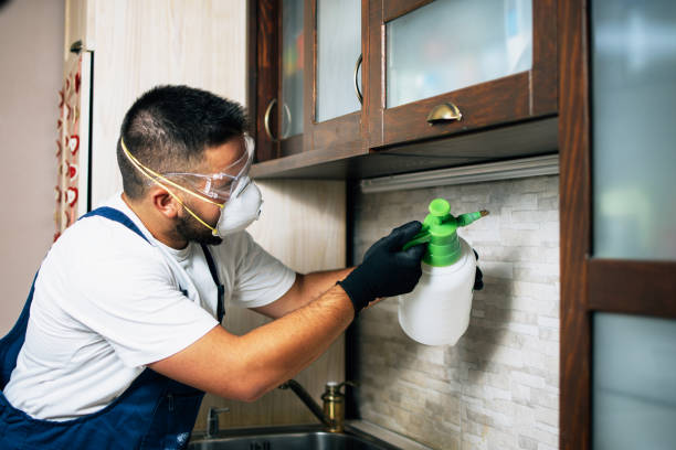 Best Pest Inspection Near Me  in Oak Bluffs, MA