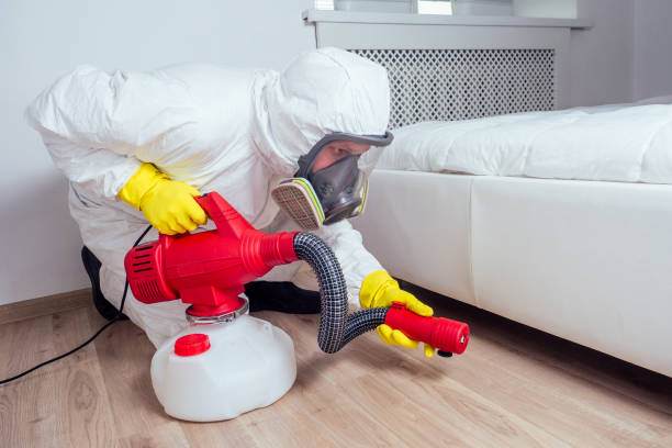 Flea Control Services in Oak Bluffs, MA