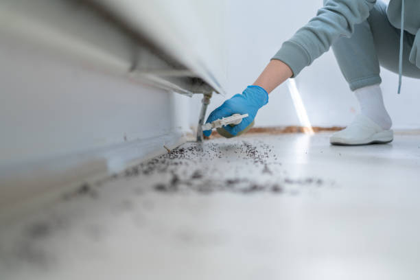 Best Best Pest Control Companies  in Oak Bluffs, MA